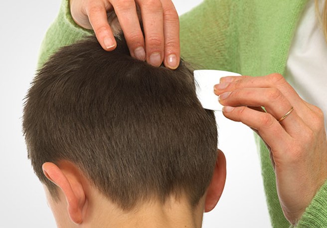 homepage_card-section_609x425_check